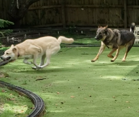 And They're At It Again, Prompting A Design Change